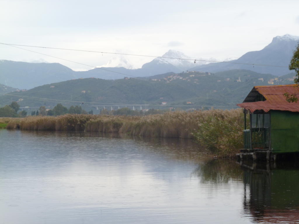 Le Ginestre Bed & Breakfast Massarosa