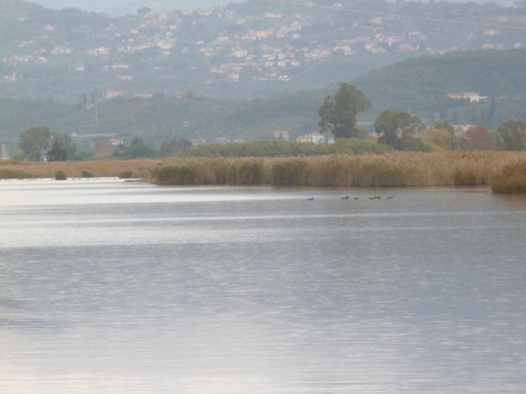 Le Ginestre Bed & Breakfast